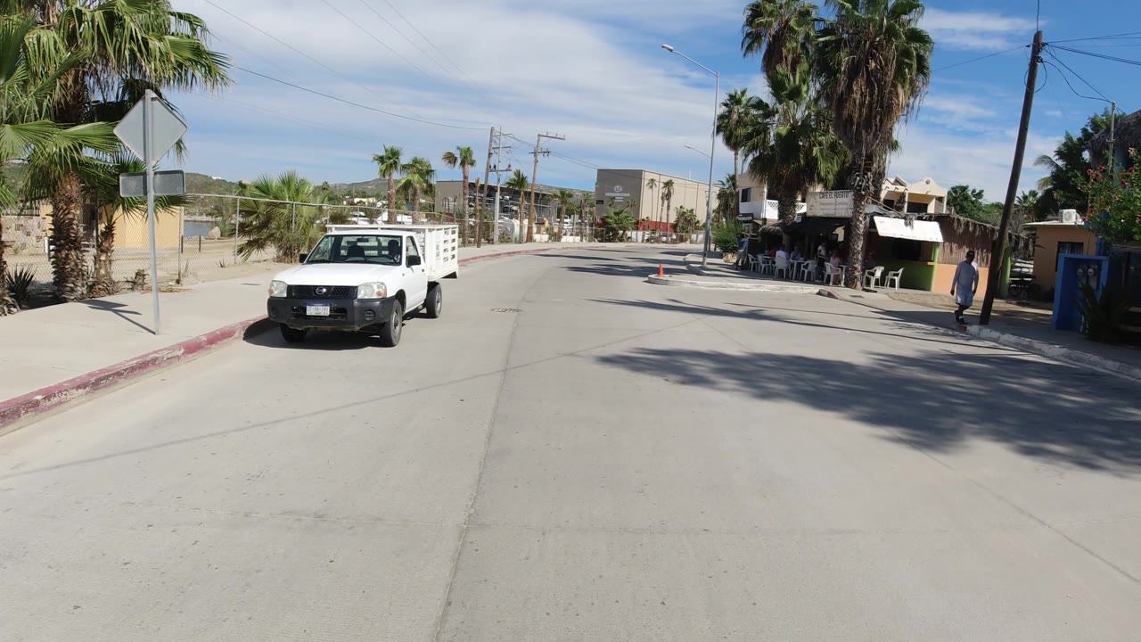 White pickup passes near the camera on a palm-lined road.