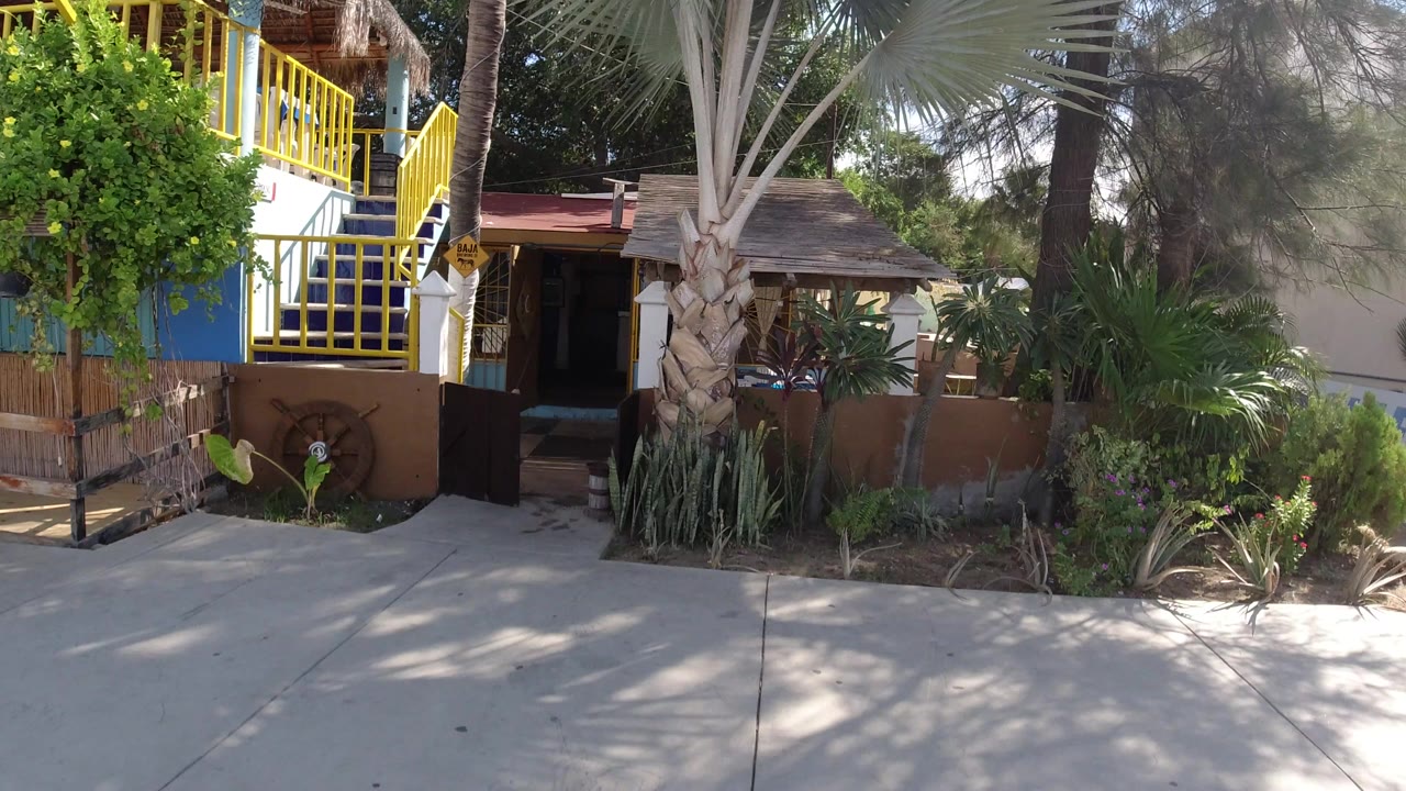 Sunlit sidewalk outside a small building with yellow balcony railings and tropical plants.
