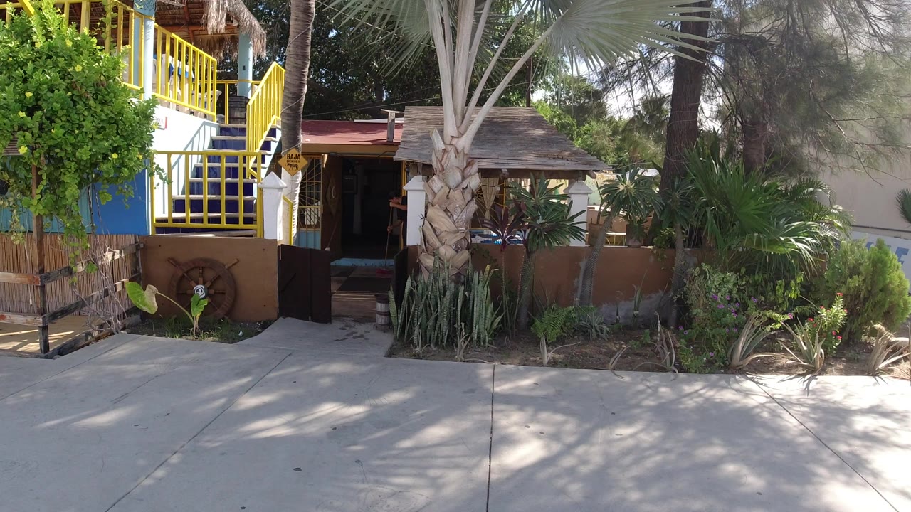 Sunlit house frontage with plants and yellow balcony railings.