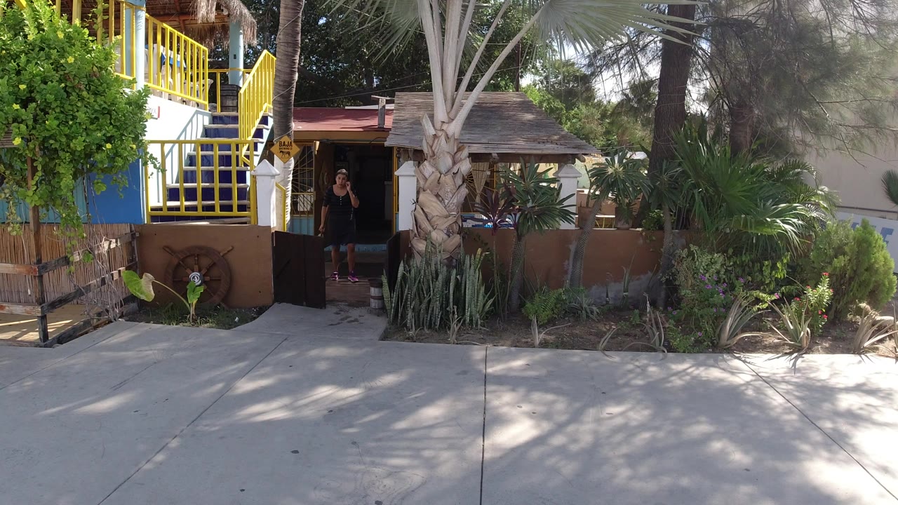 Street-level storefront with yellow railings, palm trees, and a shaded doorway.