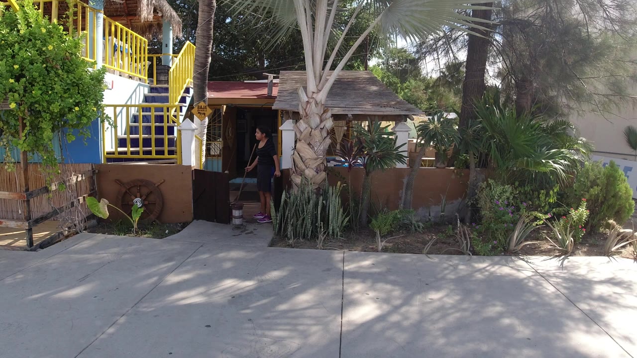At the start of the Los Cabos, Mexico clip, a young man is visible at a small yard door beside a palm trunk, yellow stairs, a stucco wall, and sunlit garden plants.