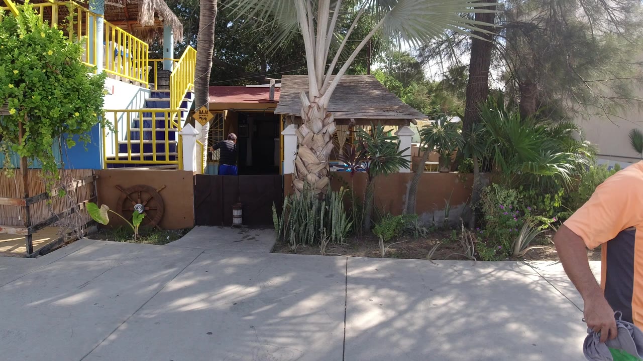 Sunlit sidewalk outside a colorful two-story building with plants and a person partly visible at frame edge.