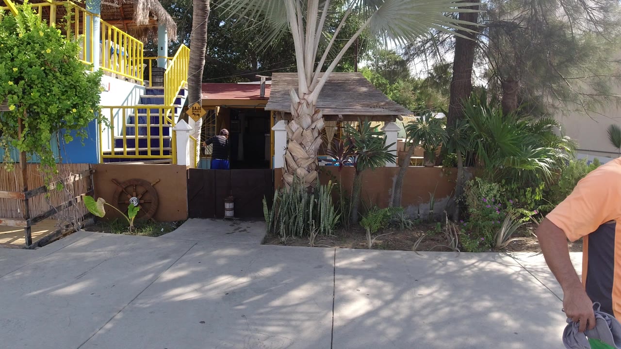 Los Cabos street frame showing a concrete sidewalk, a dark building entrance, yellow balcony railings, palms, shrubs, and a cropped person at the right edge.