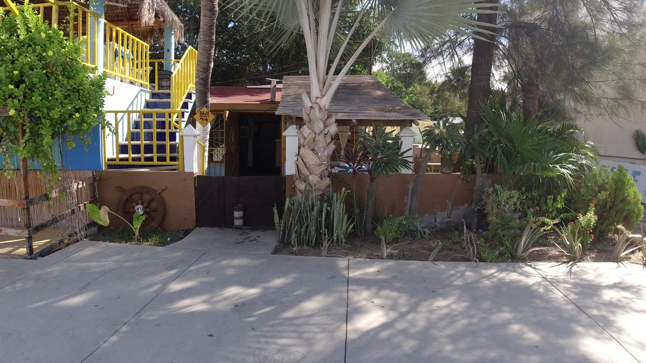 Sunlit storefront entrance with yellow railings and tropical plants.