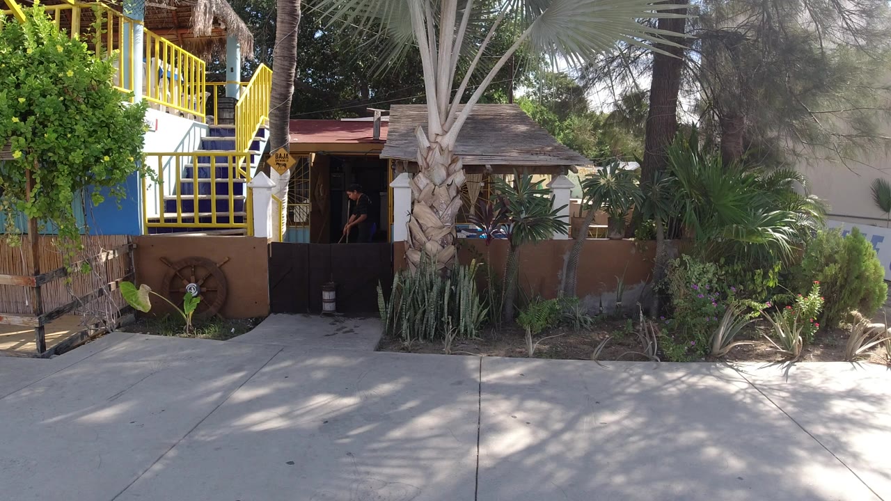 Sunlit walkway outside a building with yellow railings and palms.
