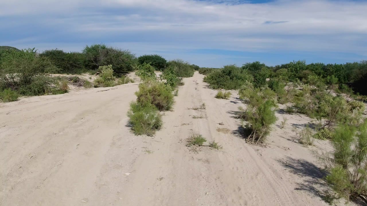 Sandy trail between green desert shrubs under a partly cloudy sky.