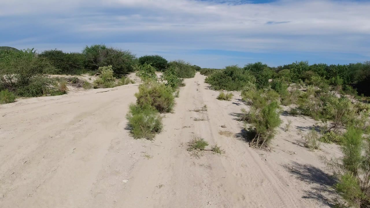 The Los Cabos trail continues ahead through pale sand, with green brush close to the path edges and no visible people.