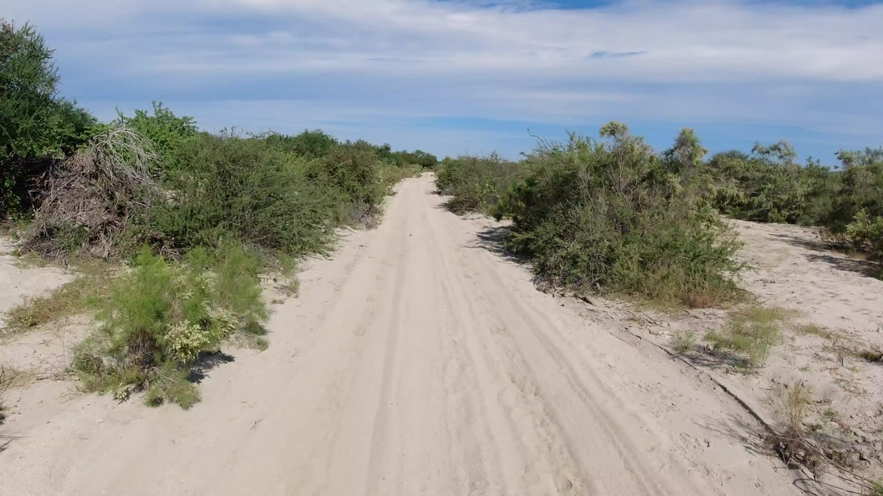 A pale dirt path in Los Cabos, Mexico runs between dense green roadside shrubs beneath a blue sky with thin clouds, with no visible people.