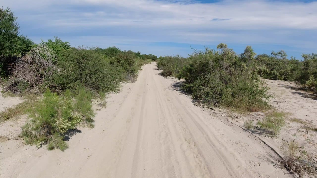 The Los Cabos dirt track stays centered as low shrubs and scrub press close on both sides, with no visible people in the frame.