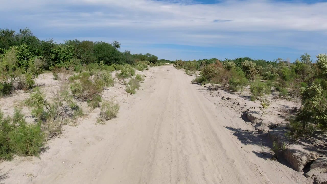 Opening view of a sandy road through desert brush in Los Cabos, Mexico, with tire marks, low shrubs, distant trees, blue sky, and no visible people.