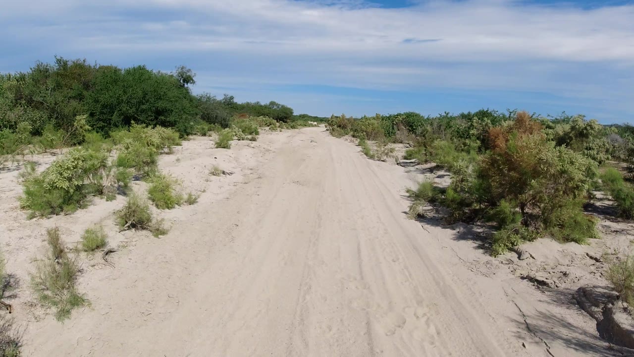 Wide sandy track with scrub vegetation and darker bushes along the right edge.