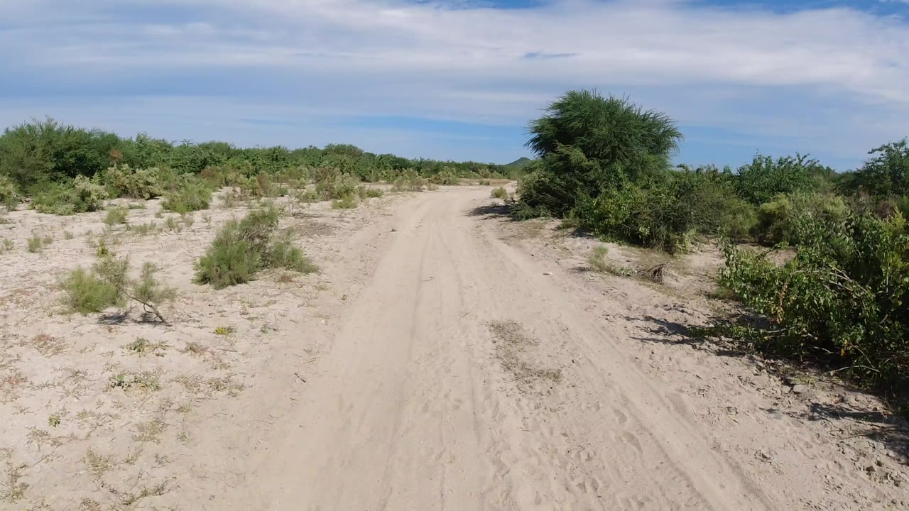 Opening view of a sandy road in Los Cabos, Mexico, with scrub on both sides, a large bush to the right, distant low hills, and no visible people.