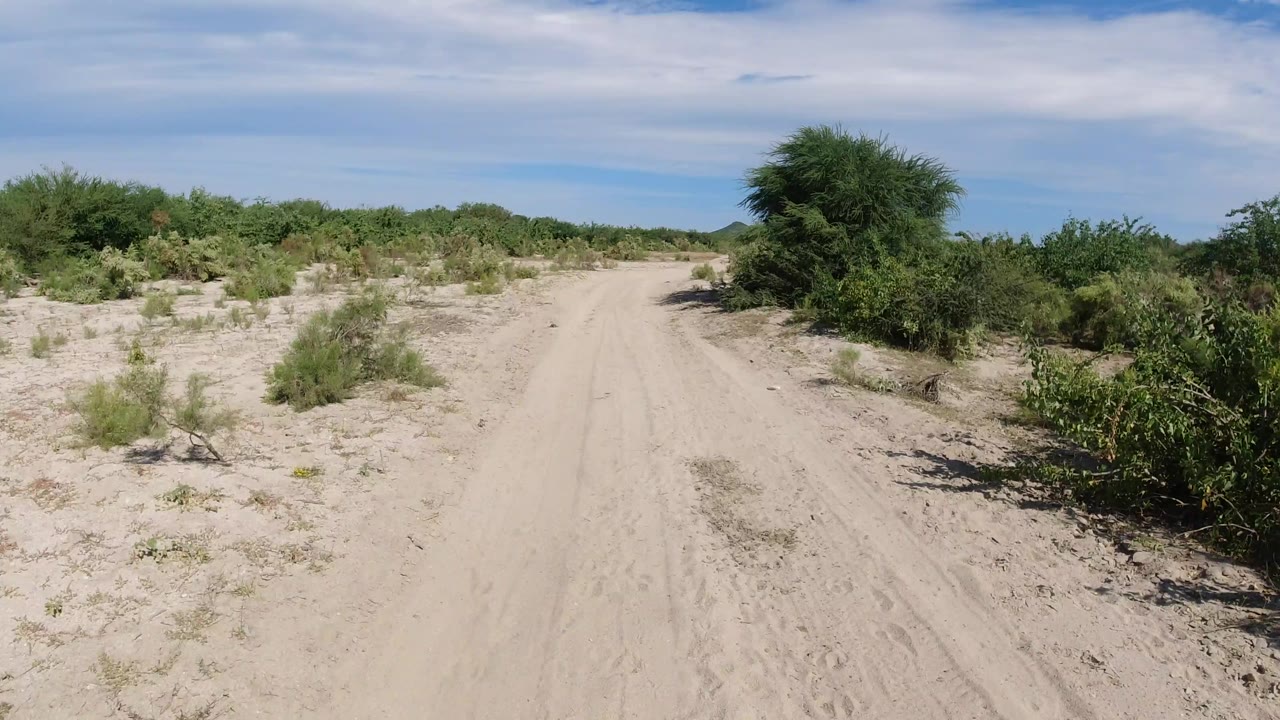 A centered sandy track runs through Los Cabos brushland with tire marks in the foreground, low vegetation across the horizon, and no visible people.