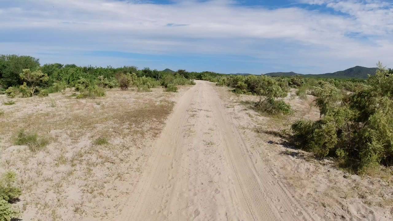 A sandy dirt road in Los Cabos, Mexico runs between green desert shrubs toward distant low mountains, with no visible people.