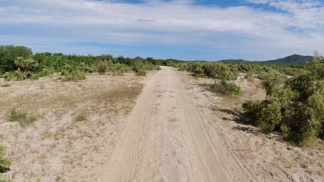 A centered pale dirt track continues through scrubby Los Cabos terrain, with low hills on the horizon and no visible people.