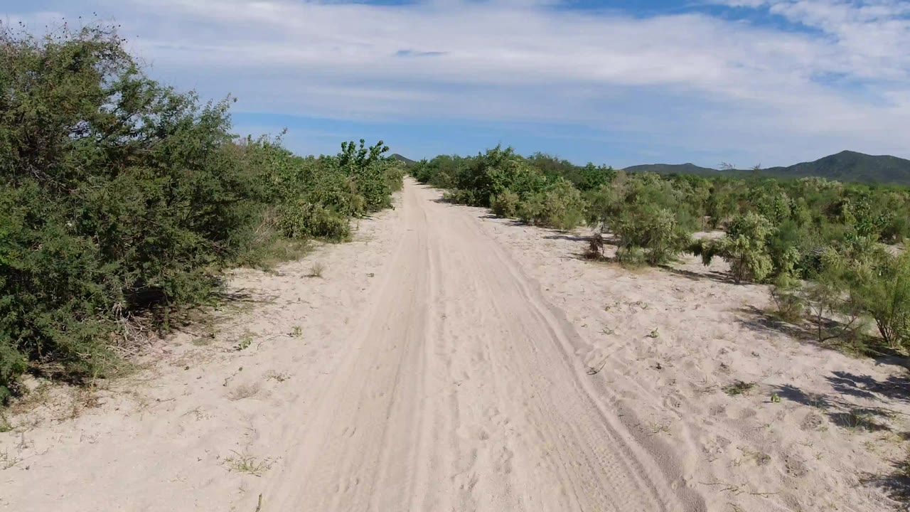 Sandy road between desert shrubs under a partly cloudy sky.