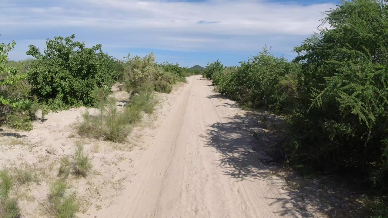 The Los Cabos sandy track stays centered as low bushes line both sides and small hills sit near the horizon, with no visible people.