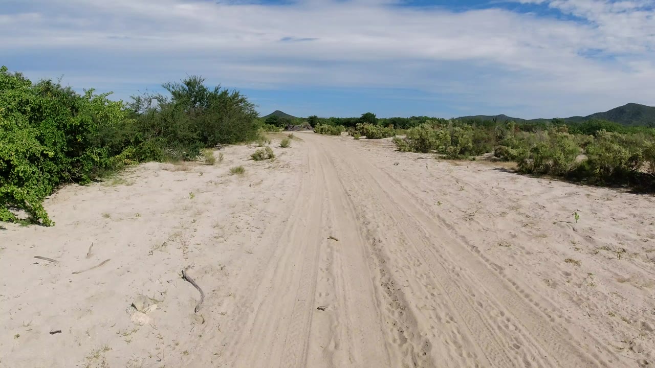 A sandy roadway in Los Cabos runs between dense green scrub toward low distant hills under bright daylight, with no visible people.