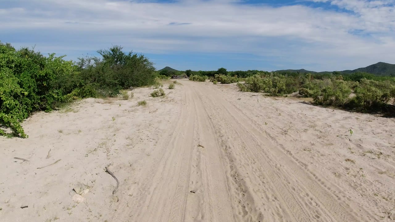 The Los Cabos dirt road stays centered as pale sand, tire marks, low brush, and a distant hill fill the frame, with no visible people.