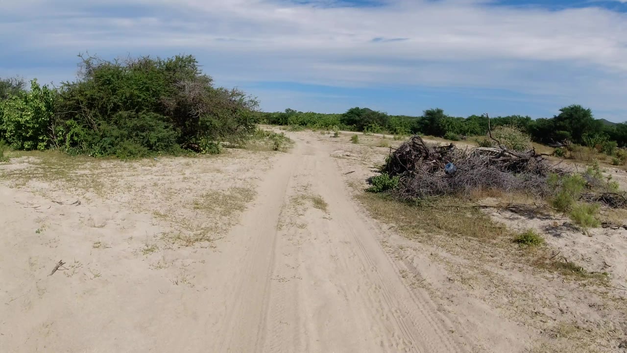 Forward view of a pale sandy route in Los Cabos with brush on both sides, a low horizon, thin clouds, and no visible people.
