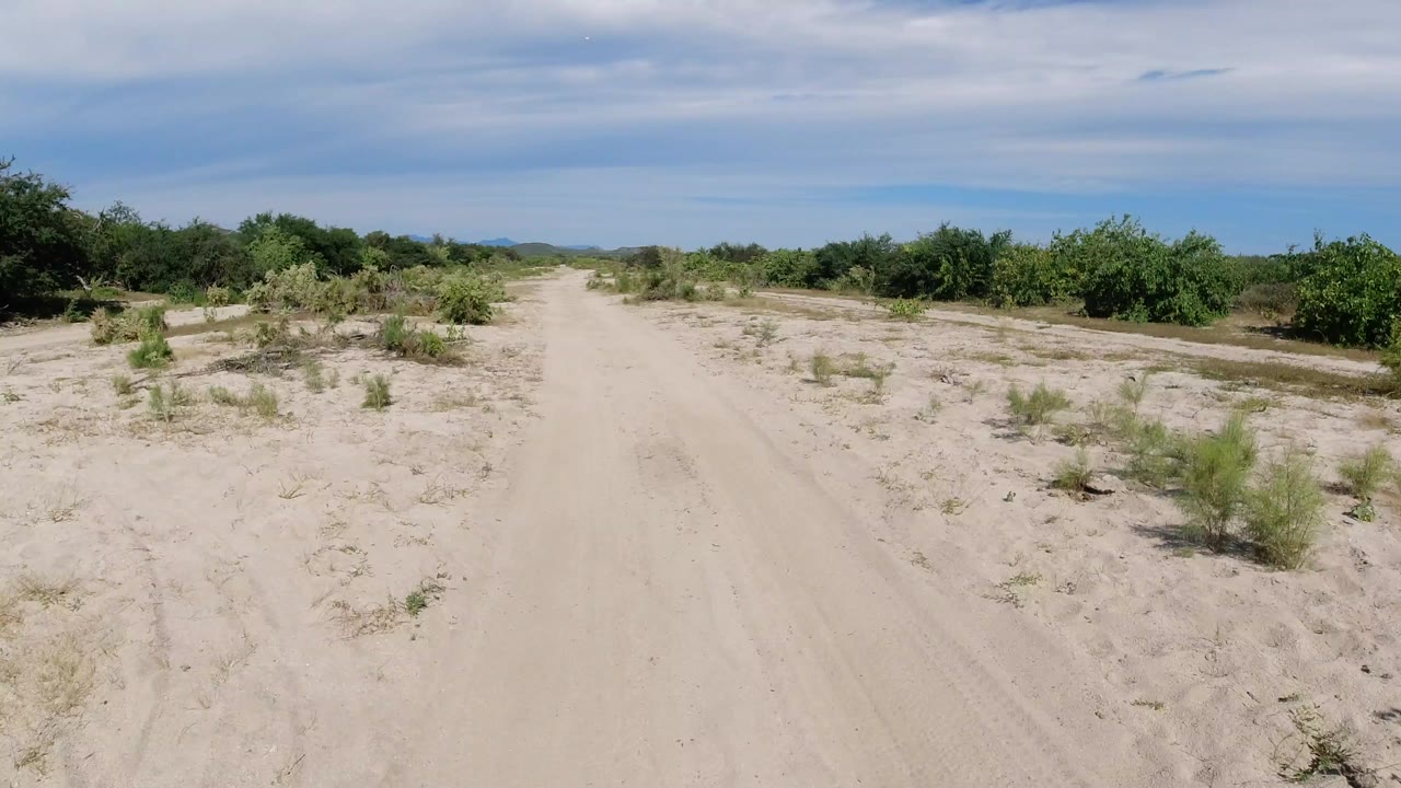 Sandy road through low green bushes under a blue sky.