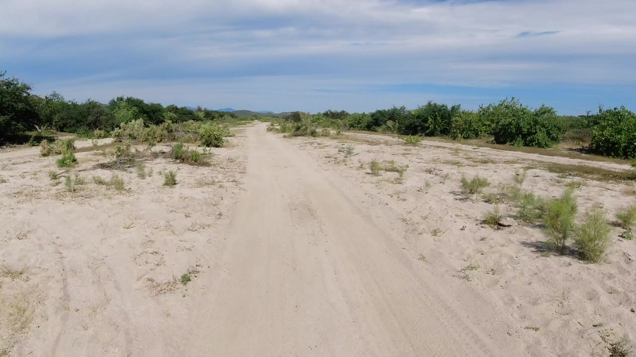 Sandy track continues ahead through dry scrub in Los Cabos, Mexico, with denser green bushes on both sides and no visible people.