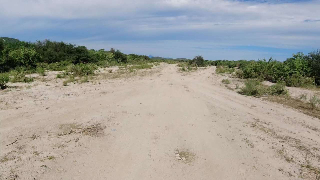 Sandy dirt road bordered by low green shrubs under a cloudy sky.
