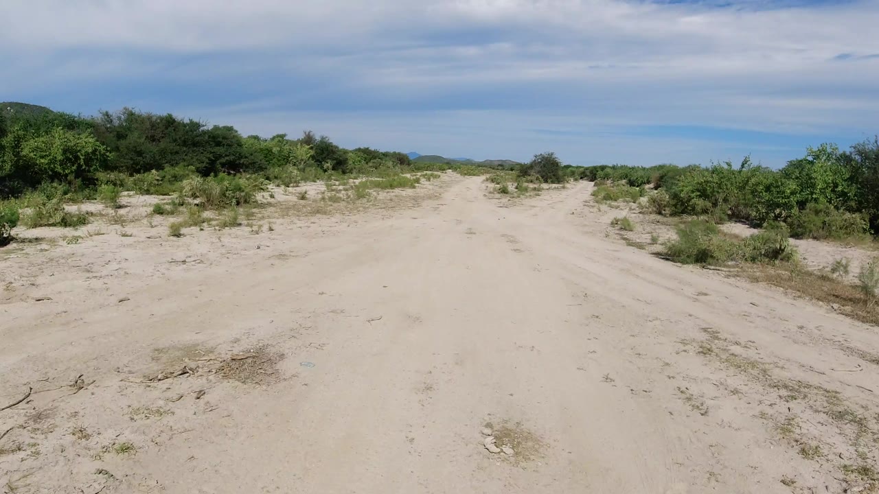 The road remains centered in Los Cabos, Mexico, with pale sand in the foreground, dense green brush on both sides, faint distant hills, and no visible people.