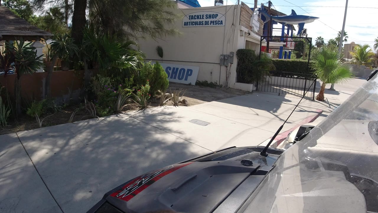 Sunlit sidewalk beside palms and a tackle shop sign.