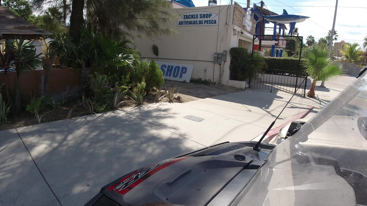 Los Cabos Mexico hotel-area exterior with a pale building, fishing tackle shop sign, planted palms, a sidewalk, and the vehicle front entering the lower frame with no visible people.
