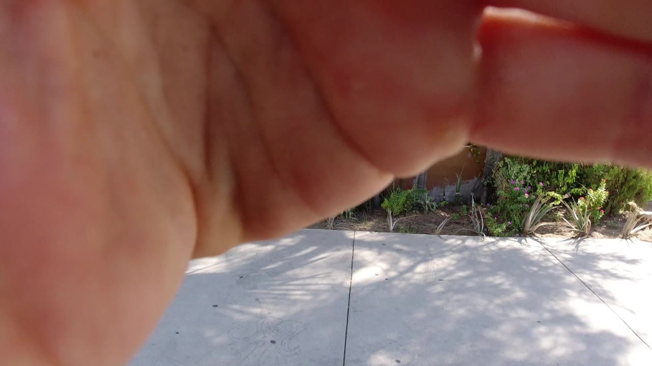 Finger blocking most of a sunny sidewalk and plants