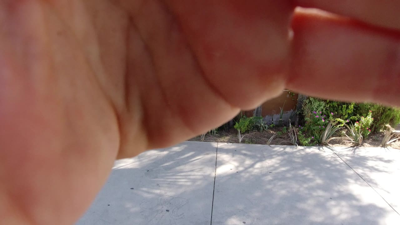 At 0:01 in Los Cabos, Mexico, the upper frame remains blocked by a finger while the lower area shows concrete sidewalk, plant beds, and hard daylight.