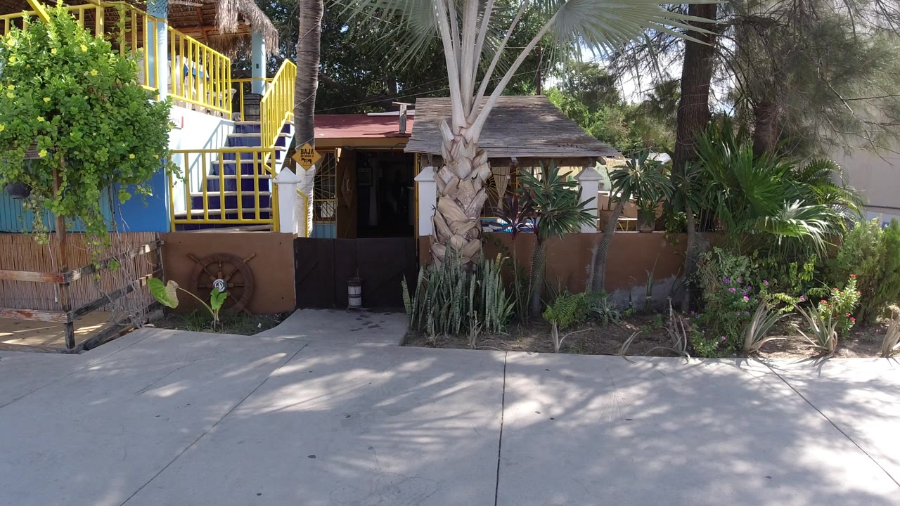 Sunlit building entrance with yellow railings and tropical plants.