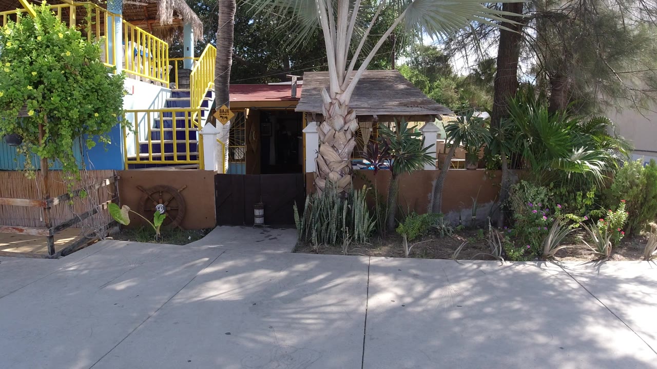 Los Cabos storefront view with the shaded entry centered lower in frame, yellow railing at left, palm trunk in front, and no visible people.