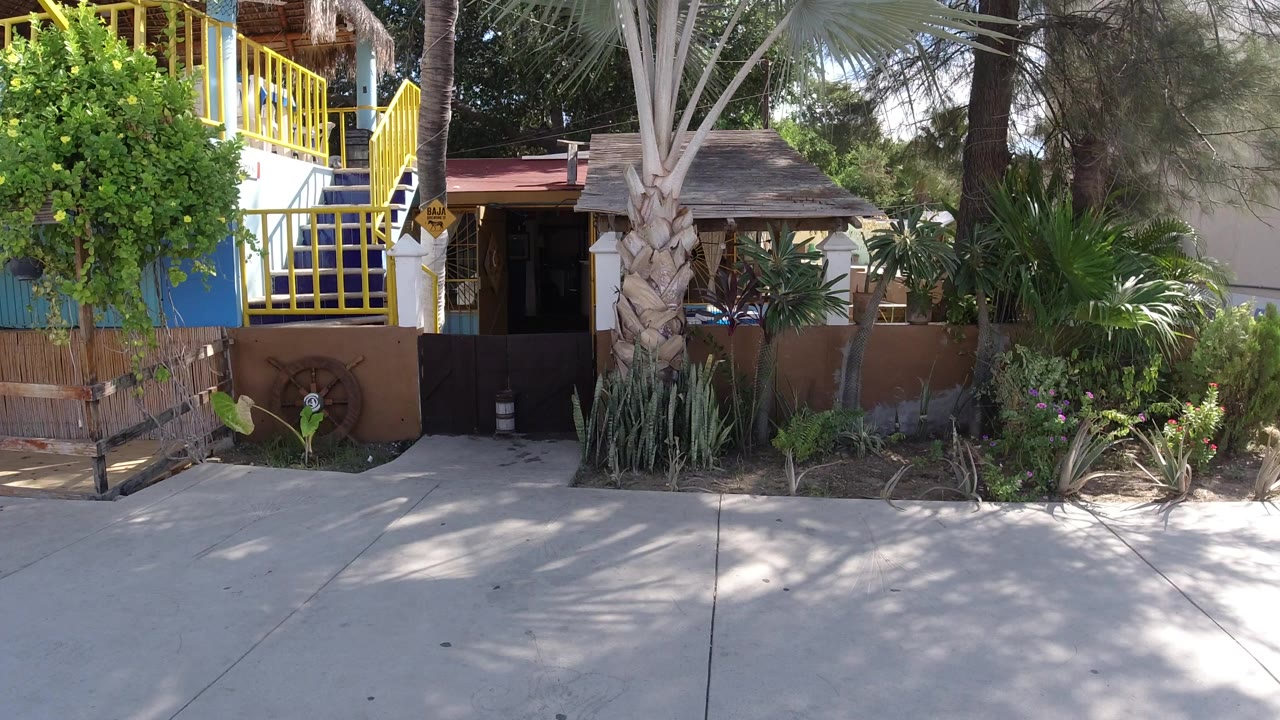 House entrance behind palms and yellow railings