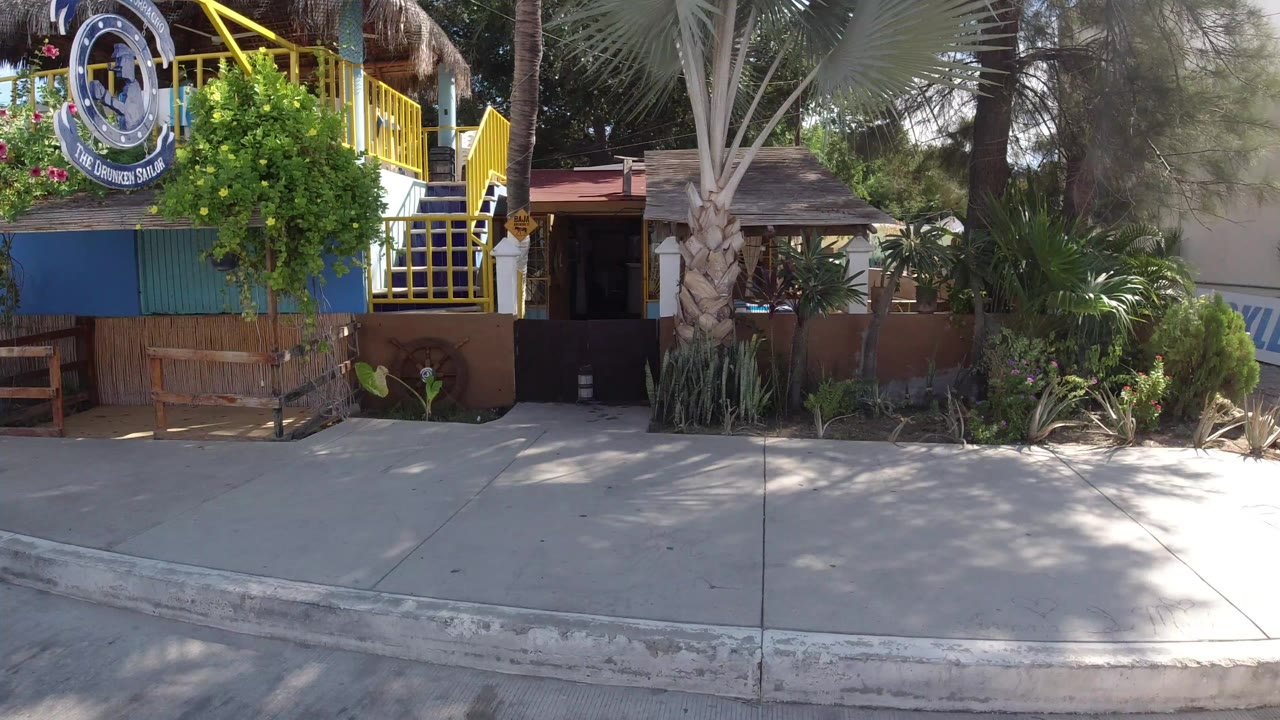 Sunlit sidewalk outside a colorful house with palms and yellow stairs.