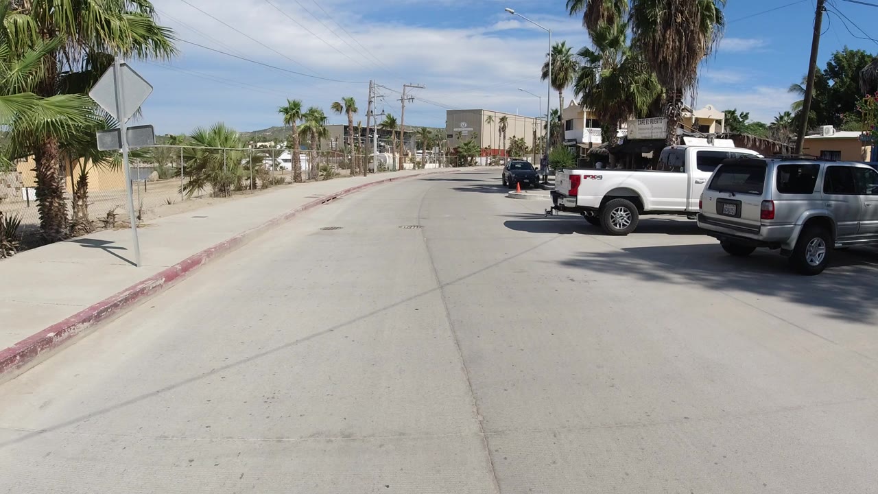 Sunny paved road with palms and parked vehicles