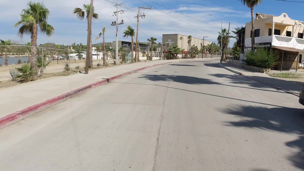 Los Cabos street view with the road centered, palm trees along both sides, fenced property on the left, a cream building on the right, and no visible people.