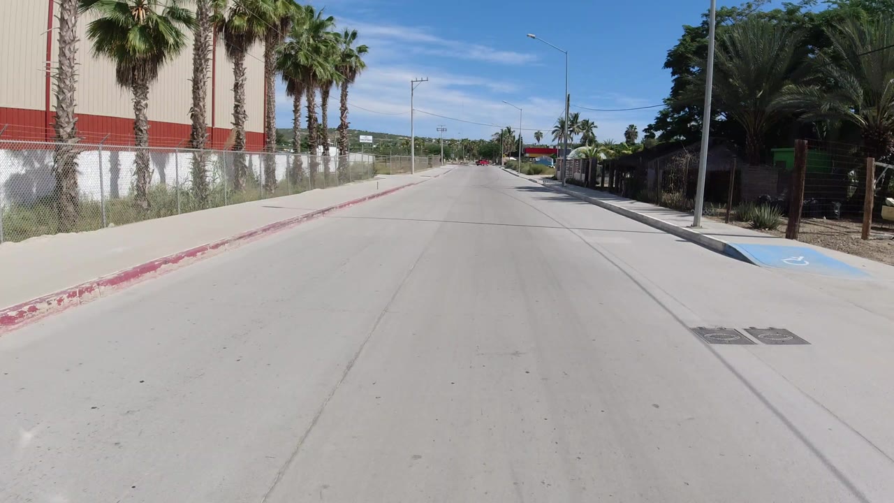 Sunlit concrete road lined with palms, fence, sidewalk, and red curb.