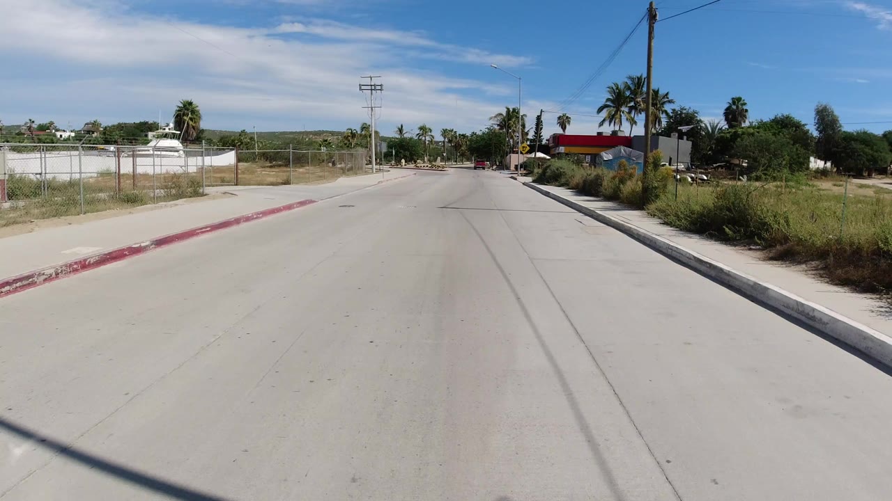 Empty concrete road with fencing, palms, utility poles, and a gas station ahead.