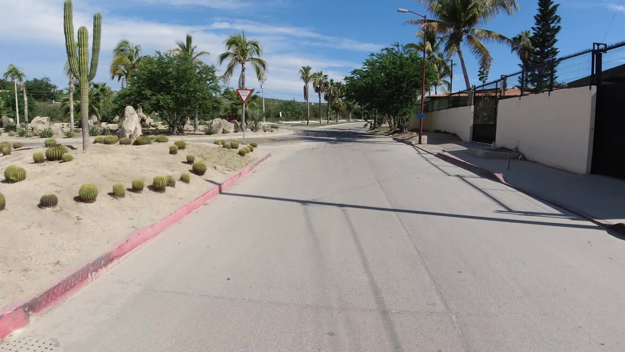 Curving road beside desert plants, tall cactus, palms, and a gated wall.
