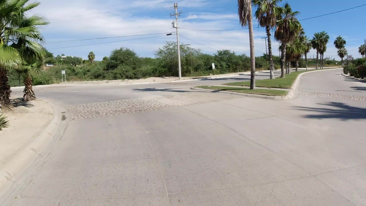 Wide view of a quiet Los Cabos road intersection with palm trees, utility poles, low vegetation, pale pavement, and no visible people.