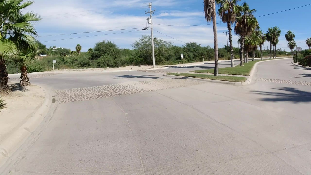 Los Cabos roadway seen from a wide elevated angle, with a palm trunk near the foreground, a curved curb, overhead wires, and no visible people.