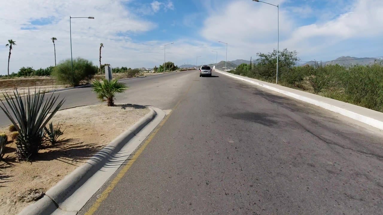 The Wrangler remains centered ahead on the Los Cabos road as a large spiky plant fills the lower left foreground, with palms, shrubs, streetlights, hills, and no visible people.