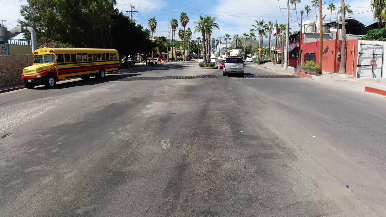 Yellow bus crossing a sunny palm-lined street with cars ahead.