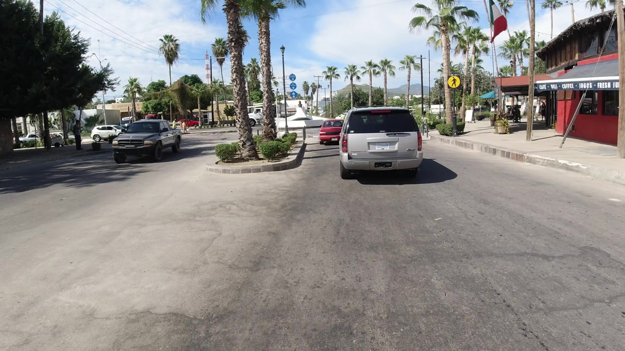 Palm-lined street with cars and a silver SUV ahead.