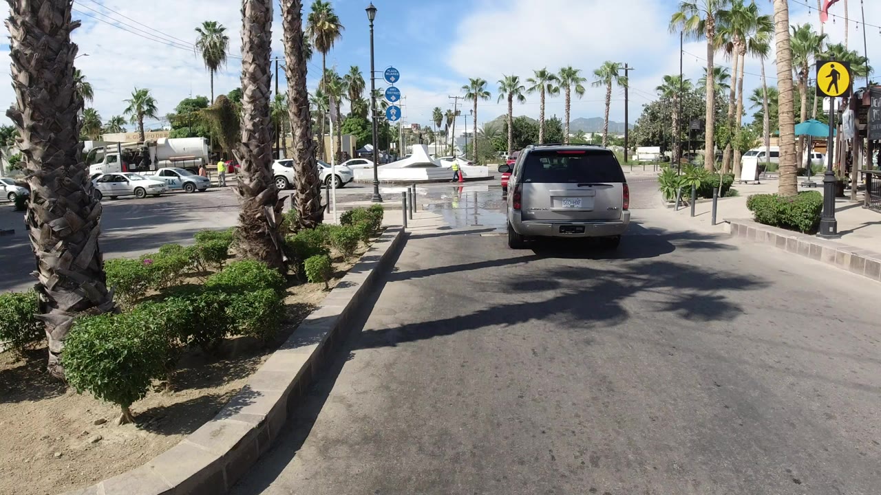 Silver van near a palm-lined roundabout on a sunny street.