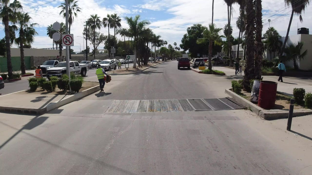 Palm-lined street with crosswalk, parked cars, and sidewalks in bright sun.