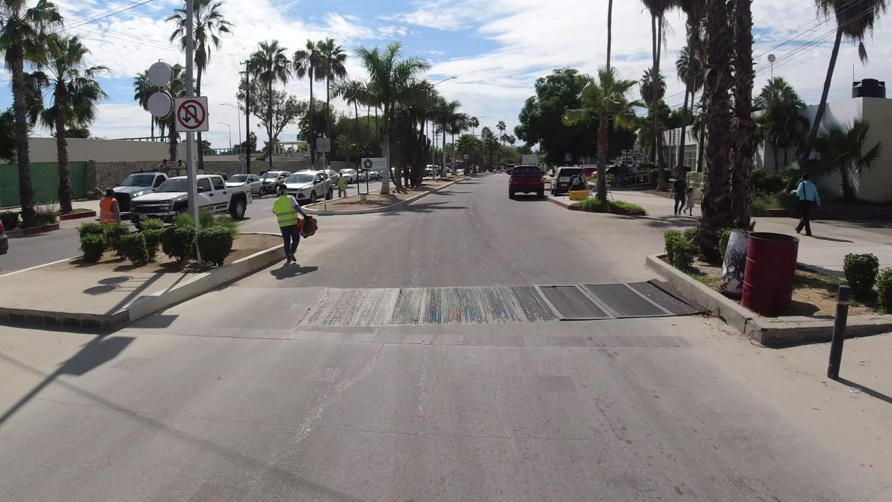 Los Cabos roadside frame with palms, a curbside planter, parked vehicles, a no parking sign, and a few distant people walking along the sidewalk.