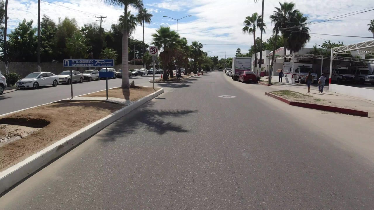 Sunny paved street with median, palms, parked cars, and curbside buildings.